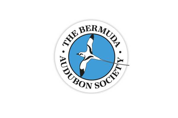 Bermuda Audubon Society